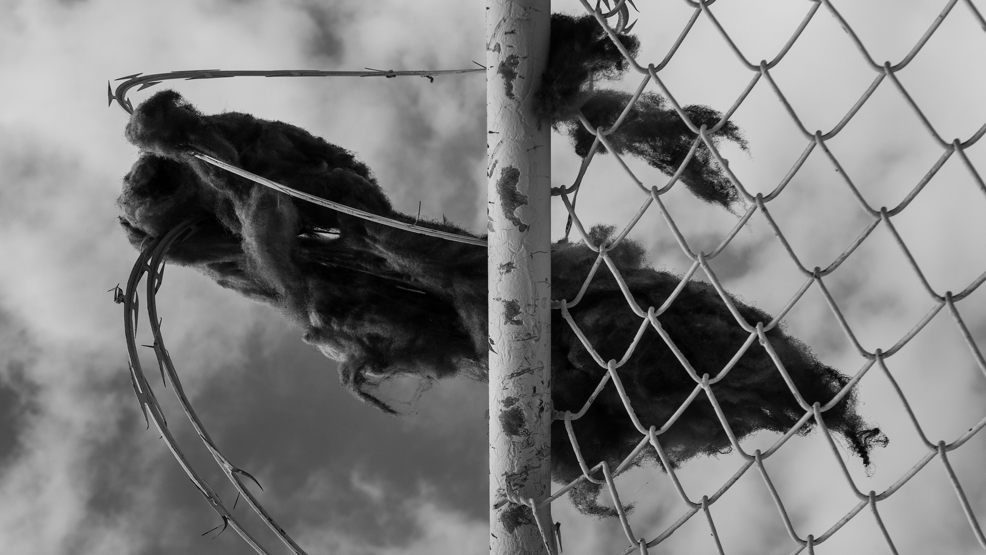 This photograph was taken by Sonja Kelly in Los Angeles, California.